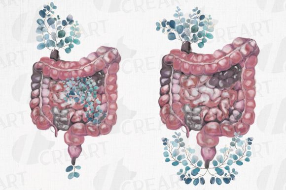 Eucalyptus Anatomical Intestines Design: Graphics for Print Templates