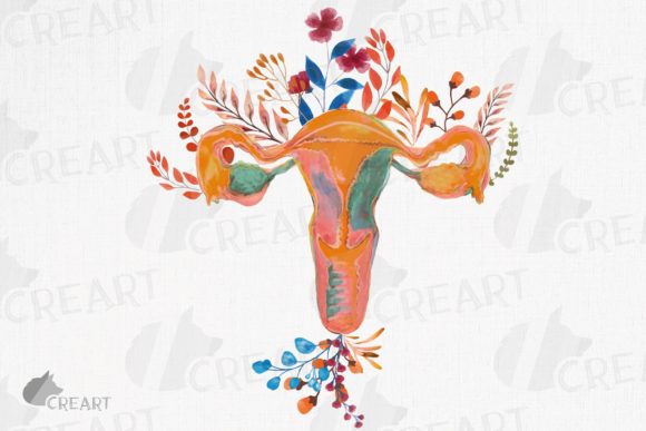 Floral Woman Reproductive System Clipart: Graphics for Print Templates