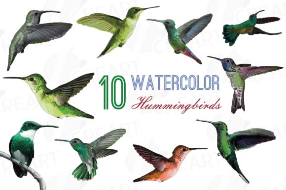 Hummingbirds Watercolor Clip Art Pack