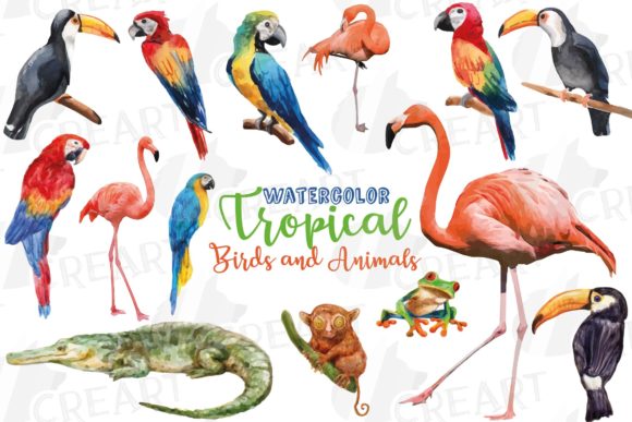 Watercolor Tropical Birds Animals Art